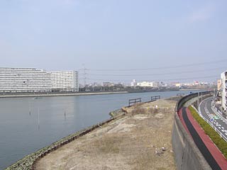 旧江戸川その2