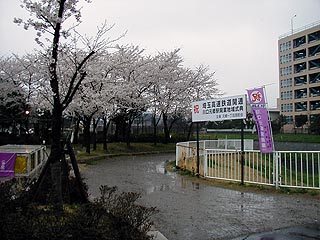芝川公園