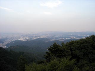 展望台からの眺め