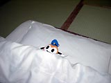 寝はまりん