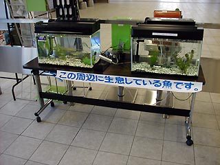 水槽