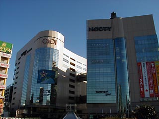 NOCTY