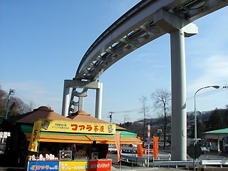 コアラ茶屋