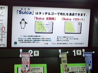 Suica