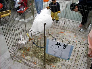 センター北まつりその4