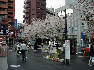 駒込駅その2