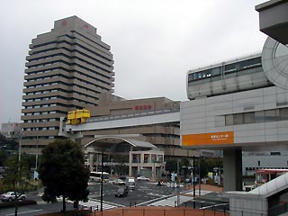 黄色いのその1