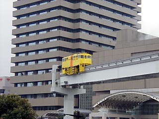 黄色いのその2