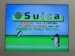 E231系その3