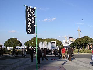 ハトのえさ