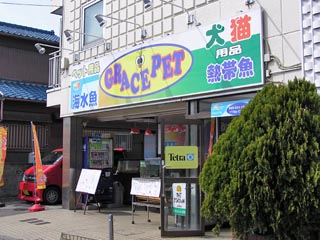 GRACE PET