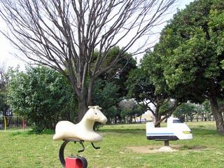 舞浜公園その3