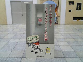 フミ ヤマモト トリックアートの世界