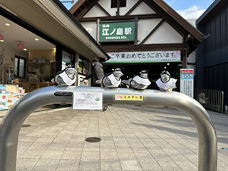 江のピコその1