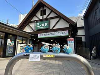 江のピコその2