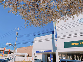 ノジマ 大和店+スポーツデポ 大和店、大和ほうさい殿