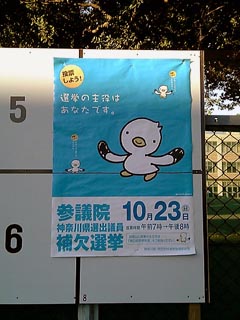カモメちゃん