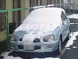 雪