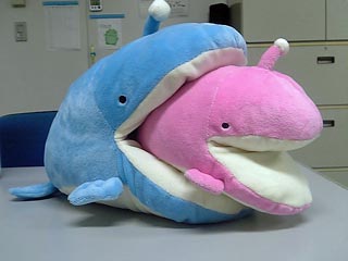 あんこうさん1