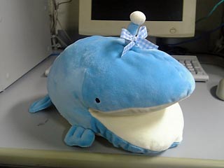 Mサイズリボン