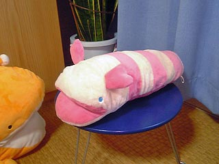 ナマコン