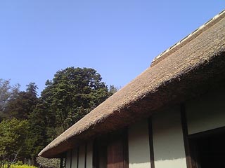 泉の森 郷土民家園