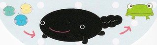タマオさんタグ