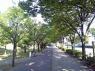 新左近川親水公園2