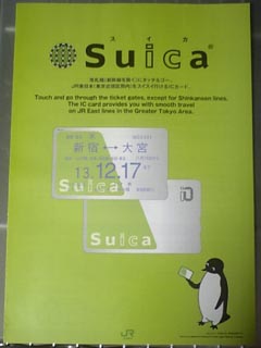 英語チラシ