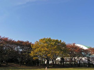引地台公園1