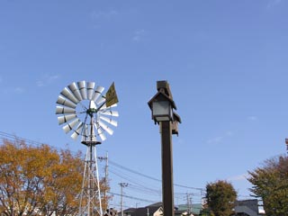親水公園1