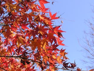 親水公園2