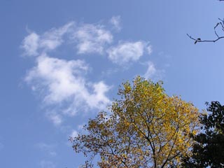 親水公園3