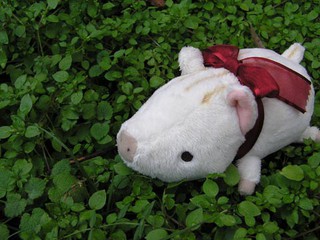 泉の森6