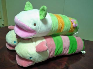なまこん3