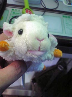 ひつじちゃん