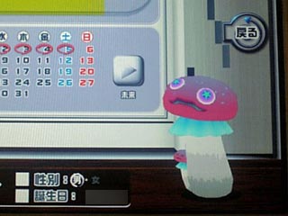 宣教師風