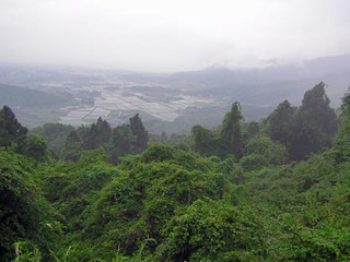麓の景色