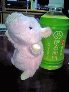 まきば便りブタ