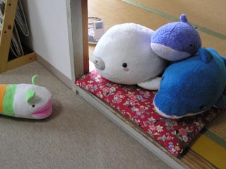 出会い