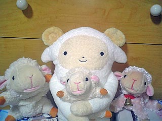ひつじーズ