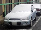 雪2008