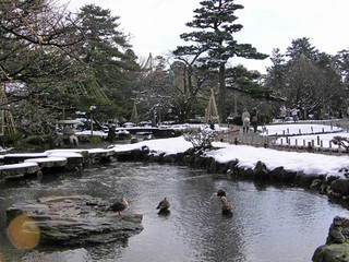 兼六園5
