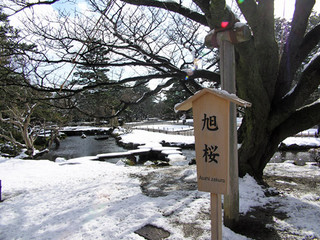 兼六園6
