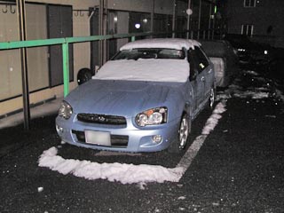 帰ったら雪