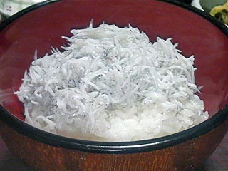 しらす