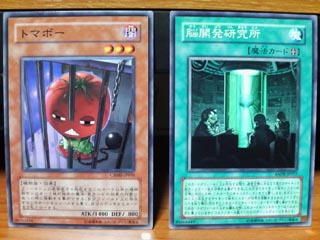 トマボー・脳開発研究所