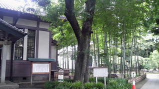 学校の中