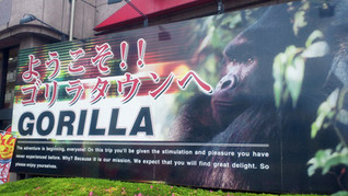 ゴリラタウン