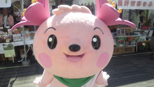 きみぴょんドアップ